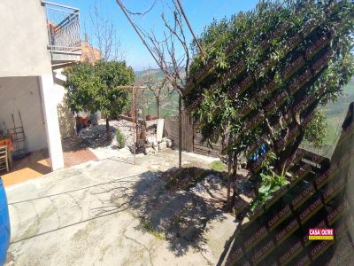 ea_RIF_206__8_